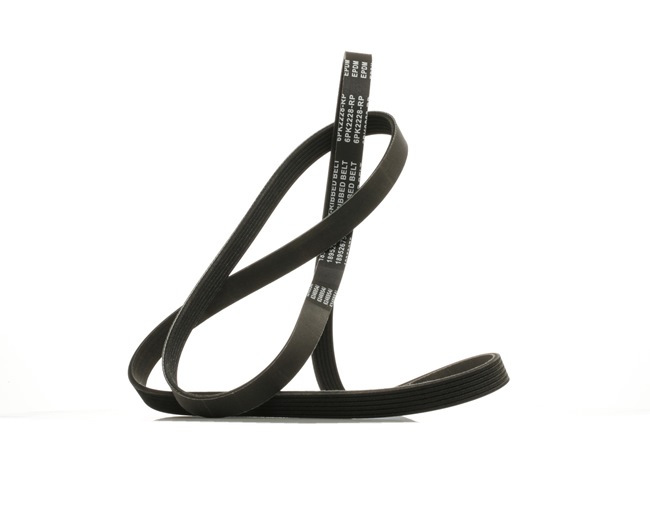1629973392 OE RIDEX PLUS Courroie Poly-V 305P0098P