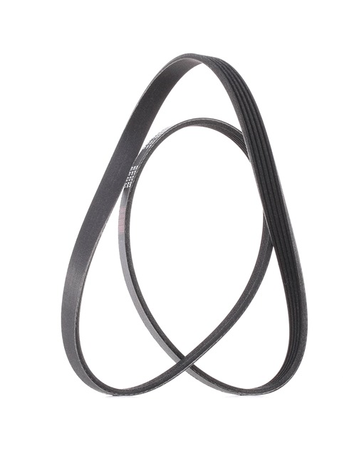 028903137AP OE RIDEX PLUS Cinghia servizi 305P0038P