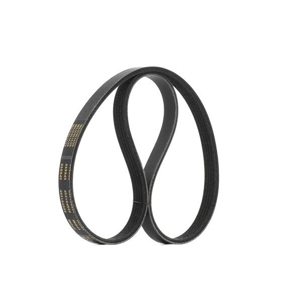 99919225950 OE RIDEX PLUS Courroie Poly-V 305P0125P
