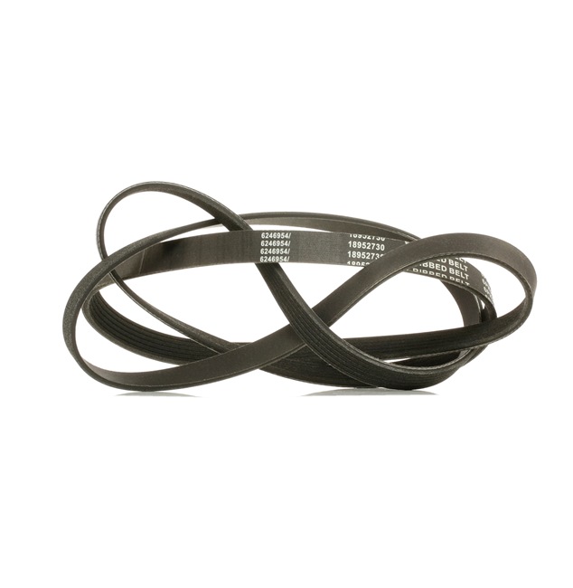 0149971192 OE RIDEX PLUS Courroie Poly-V 305P0162P