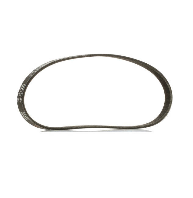 036145933AG OE RIDEX PLUS Cinghia servizi 305P0195P
