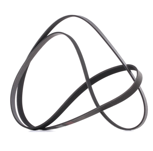 Correa trapecial poli V 93185055 RIDEX PLUS 305P0350P