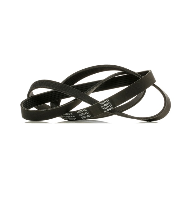 4414599 OE RIDEX PLUS Courroie Poly-V 305P0086P