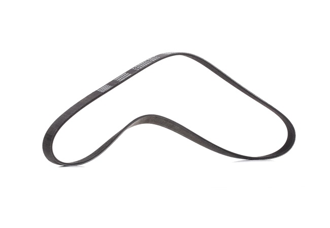 038903137R OE RIDEX PLUS Courroie Poly-V 305P0060P