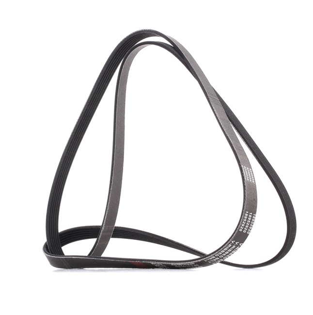 Serpentine belt RIDEX PLUS 305P0158P suitable for MERCEDES-BENZ, HYUNDAI, KIA, PUCH at cheap price