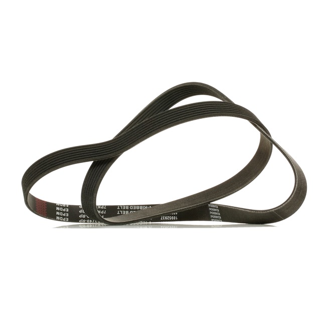 117205X00A OE RIDEX PLUS Serpentine belt 305P0344P