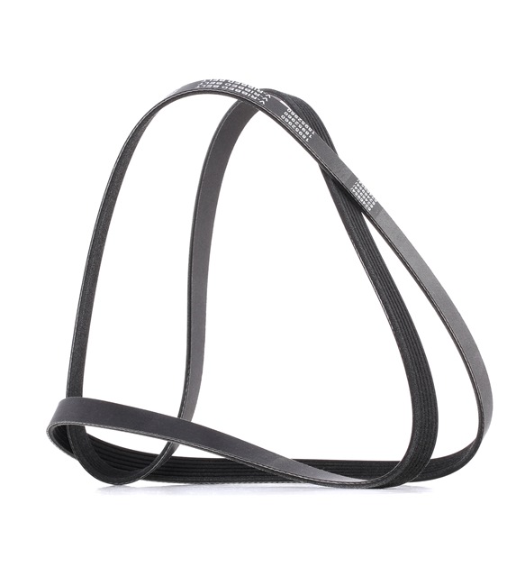 XS6E6C301JB OE RIDEX PLUS Courroie Poly-V 305P0069P