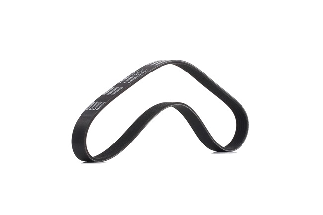 06F903137E OE RIDEX PLUS Courroie Poly-V 305P0048P
