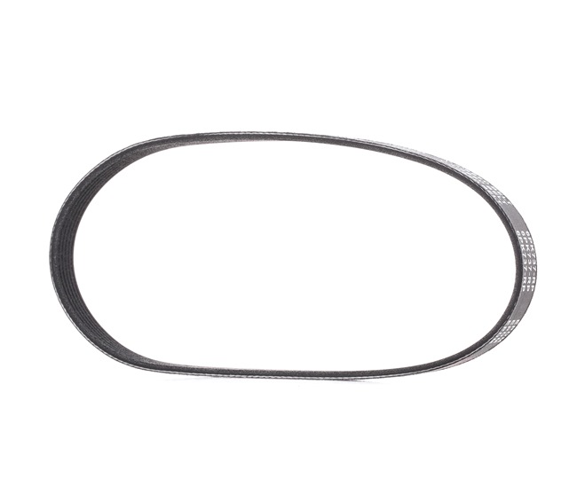 036145933AG OE RIDEX PLUS Cinghia servizi 305P0194P