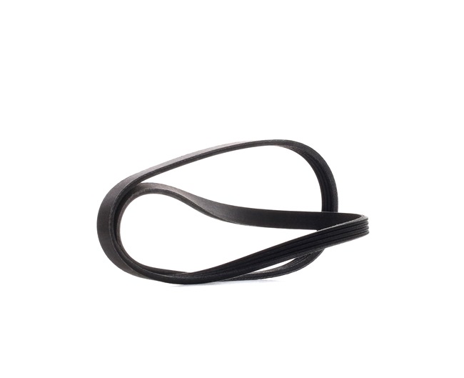 059260849D OE RIDEX PLUS Cinghia servizi 305P0022P