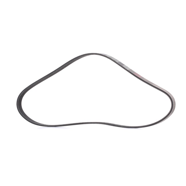 RIDEX PLUS 9091602355 Multiriem