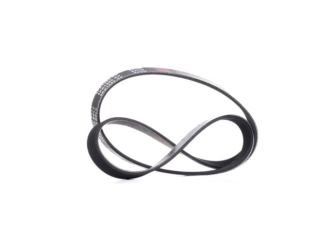 Correa trapecial poli V 5750C8 RIDEX PLUS 305P0159P
