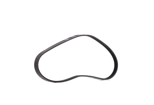 64557785212 OE RIDEX PLUS Cinghia servizi 305P0375P