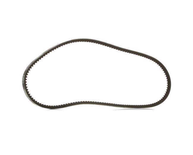 Correa trapezoidal B0015387 RIDEX PLUS 10C0031P
