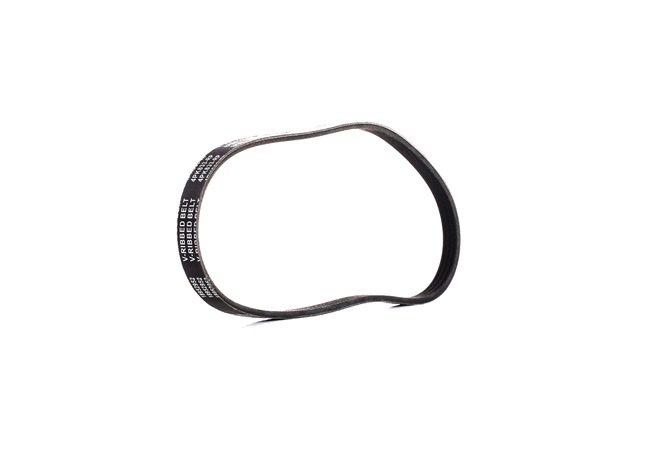 WL5118380A OE RIDEX PLUS Keilriemen 10C0041P
