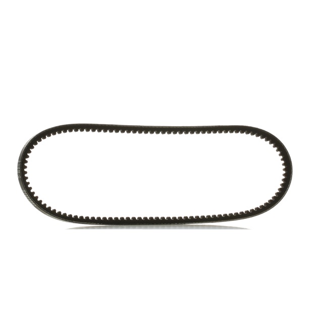 RIDEX PLUS 7701348549 V-riem