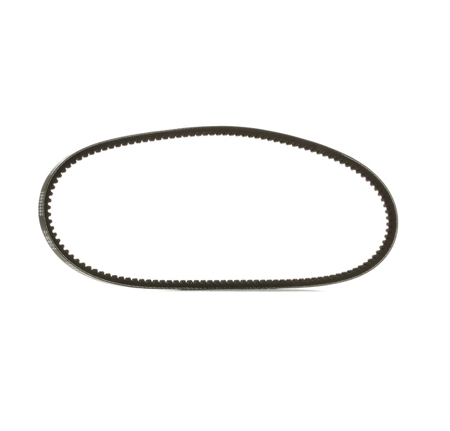 RIDEX PLUS 7597531 V-riem