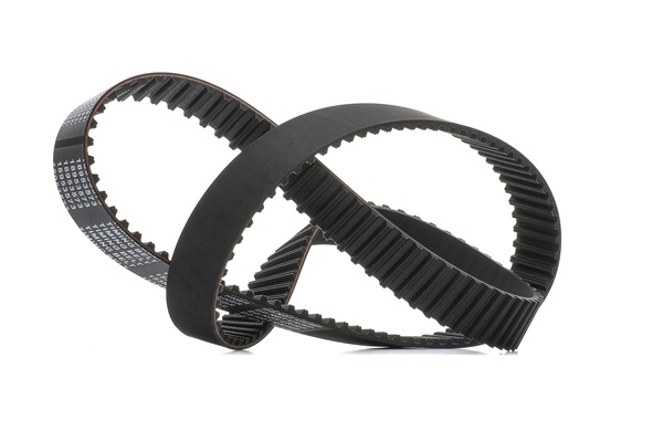 Correa dentada 0816A3 RIDEX PLUS 306T0113P