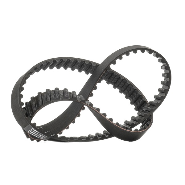 1653887 OE RIDEX PLUS Zobati jermen 306T0062P