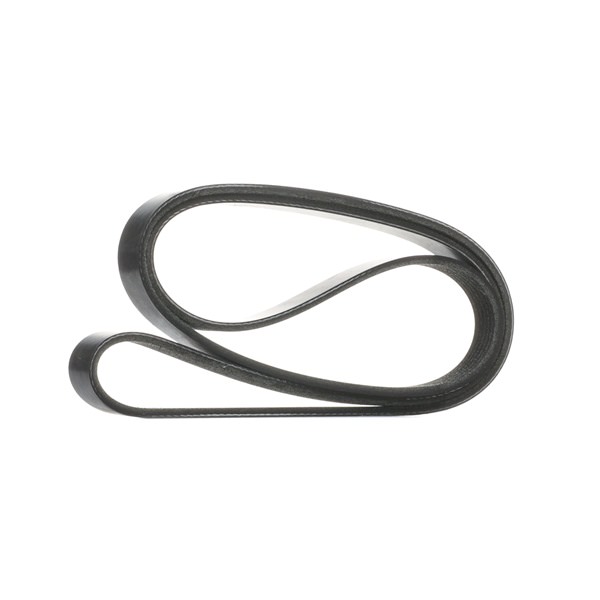 RIDEX 305P0647 Courroie d'alternateur FORD Focus Mk3 5 portes (DYB) 1.0 EcoBoost (M1DH) Essence 140 CV 2020 prix