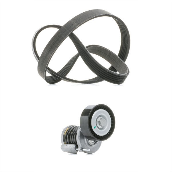 RIDEX PLUS 542R0008P V formos rumbuotas diržas, komplektas SKODA Octavia II Combi (1Z5) 2.0 TDI RS dyzelinas 170 AG 2013
