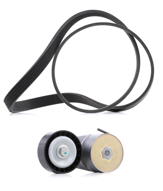 RIDEX PLUS 542R0016P Keilrippenriemensatz Fiat Punto Evo 1.4 Natural Power Benzin/Erdgas (CNG) 78 PS 2009