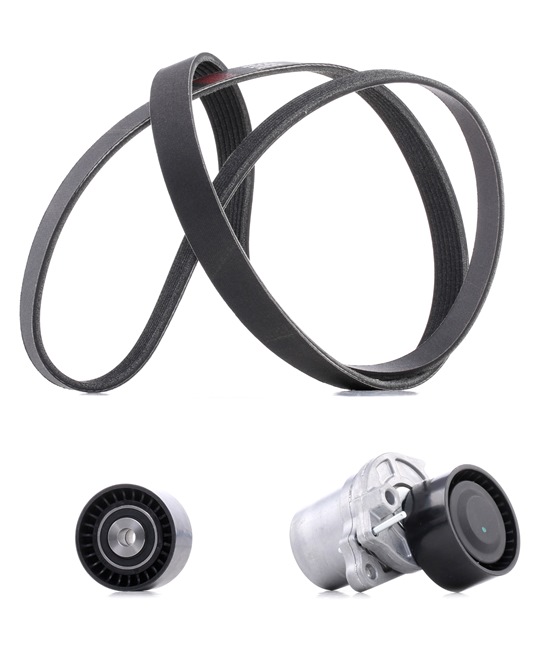 A6992000300 OE RIDEX PLUS Jeu de courroies trapézoïdales à nervures 542R0196P