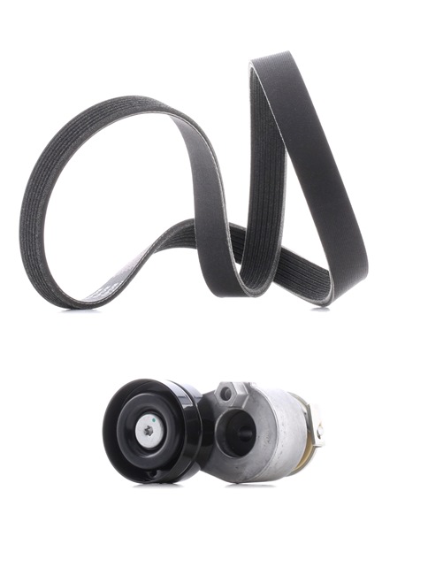 RIDEX PLUS 542R0029P Комплект поликлинового ремня RENAULT MEGANE 2 Kombi (KM0/1) 1.9 dCi Дизель 92 л.с. 2005