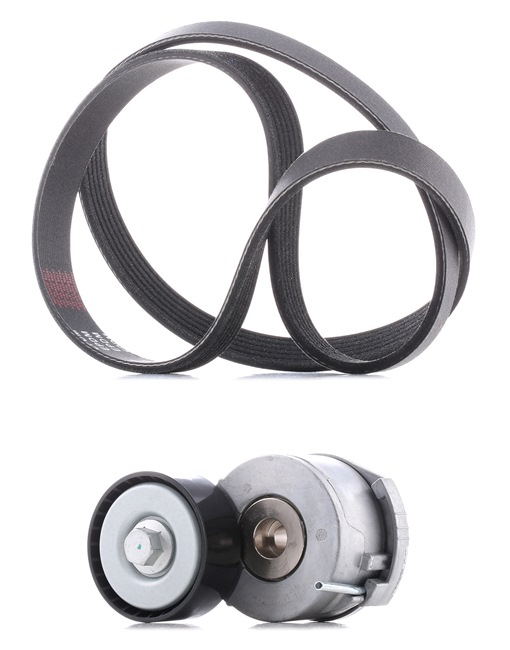 RIDEX PLUS 542R0125P Keilrippenriemen CITROЁN Jumpy II Kastenwagen 2.0 HDi 163 PS Diesel 2013