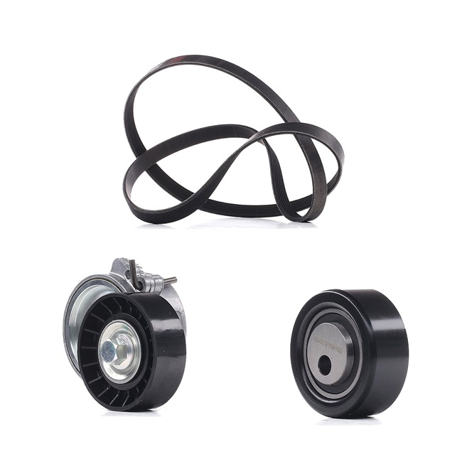 6H5Q6C301BA OE RIDEX PLUS V-Ribbed Belt Set 542R0038P