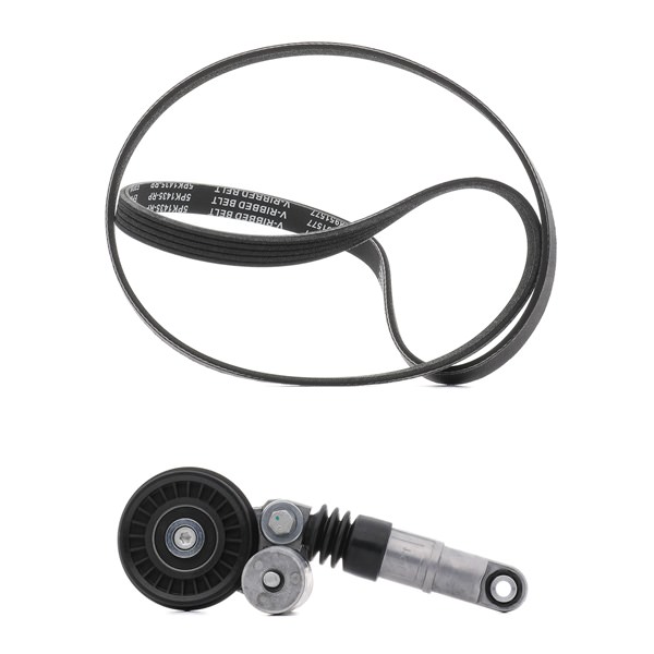 RIDEX PLUS 542R0069P Kileremssæt VW Passat 3B5 1.9 TDI Diesel 115 HK 1998 pris
