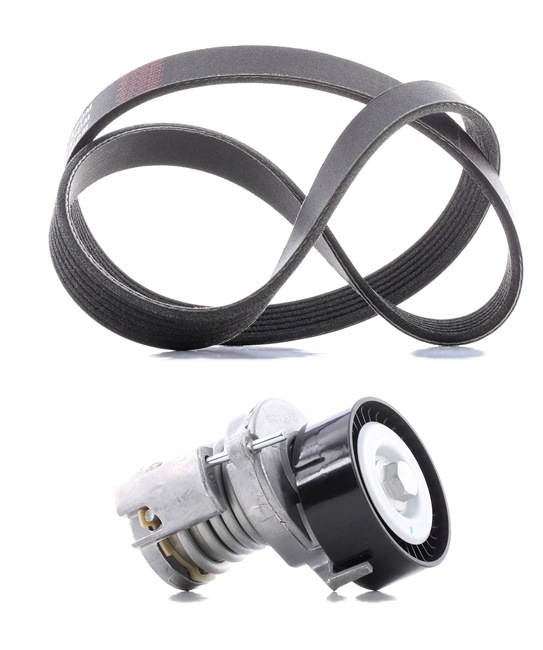 5750TH OE RIDEX PLUS Kileremsett 542R0134P