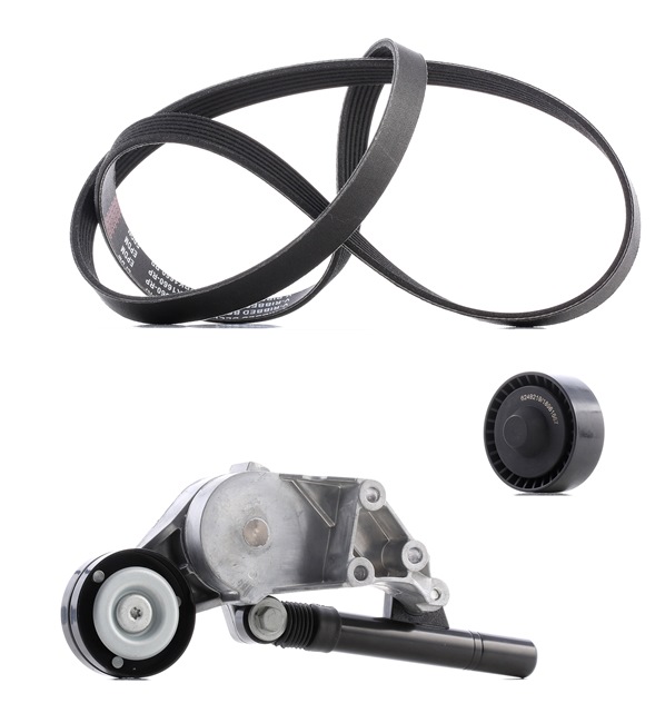RIDEX PLUS 542R0040P V formos rumbuotas diržas, komplektas Octavia 1 Combi 1.9 SDI dyzelinas 68 AG 1998
