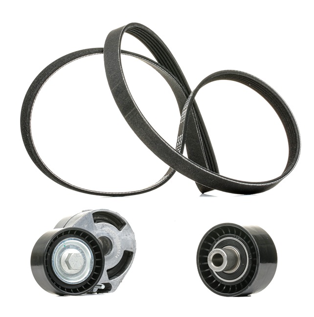 Y40115908 OE RIDEX PLUS Kileremsett 542R0062P