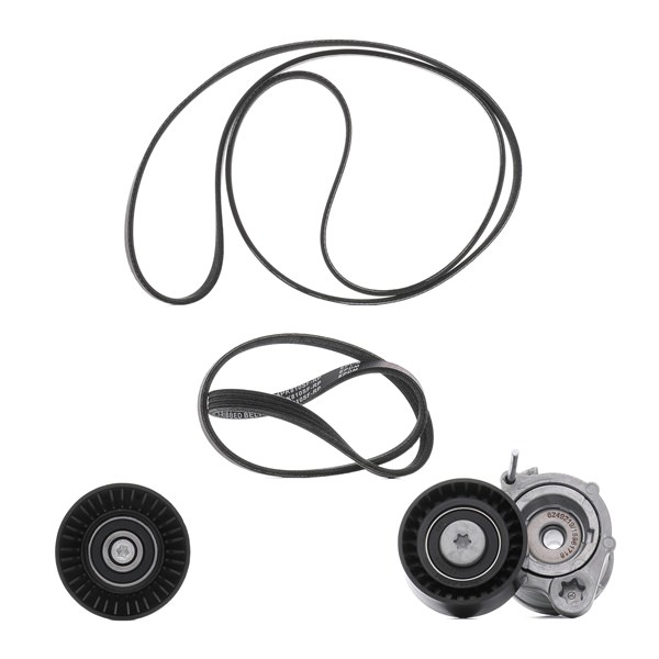 RIDEX PLUS 542R0071P Multiremsæt BMW E91 320d 2.0 Diesel 150 HK 2006 pris