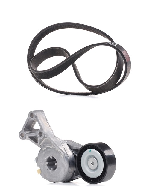 RIDEX PLUS 542R0045P V formos rumbuotas diržas, komplektas SKODA Octavia 2 Combi (1Z5) 2.0 FSI 4x4 benzinas 150 AG 2008