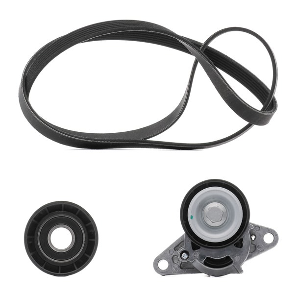 RIDEX PLUS 542R0082P Комплект поликлинового ремня RENAULT CLIO II (BB0/1/2_, CB0/1/2_) 1.6 (BB01, BB1J) бензин 110 л.с. 2007