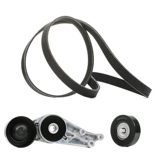 RIDEX PLUS 542R0183P Rillenriemen Audi A4 8h 1.8 T Benzin 170 PS 2005