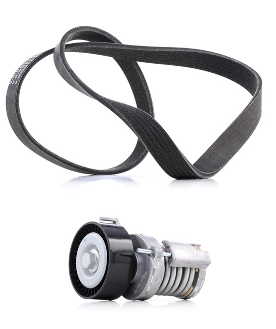 RIDEX PLUS 542R0036P Kit cinghie poly-v VOLKSWAGEN Caddy II Van (9K9A) 1.4 Benzina 75 CV 2001 prezzo