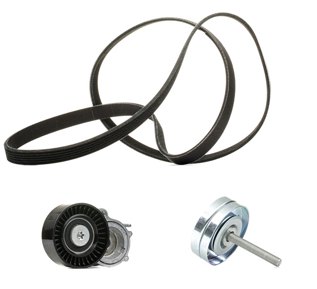 RIDEX PLUS 542R0225P Kit de courroie d'accessoire SEAT Ibiza 3 (6L1) 1.2 Essence 64 CV 2005 prix