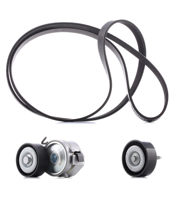 V-Ribbed Belt Set RIDEX PLUS 542R0046P suitable for FORD, VOLVO at cheap price