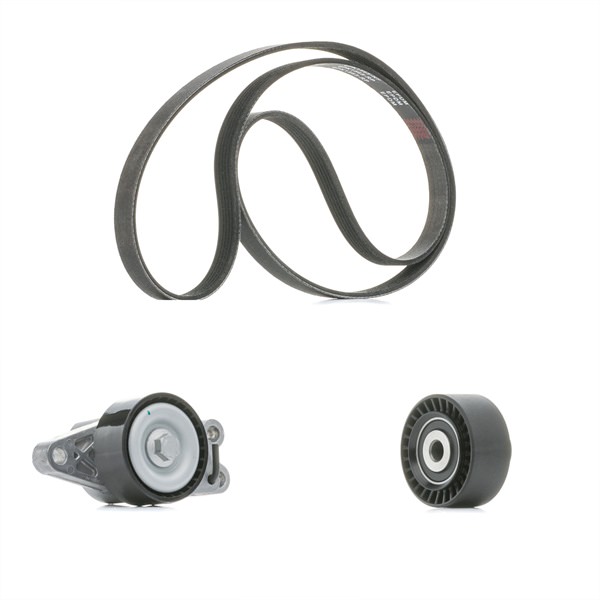 RIDEX PLUS 542R0133P Kit complet de courroies d'accessoire 206 (2A/C) 1.6 Essence 110 CV 2005 prix