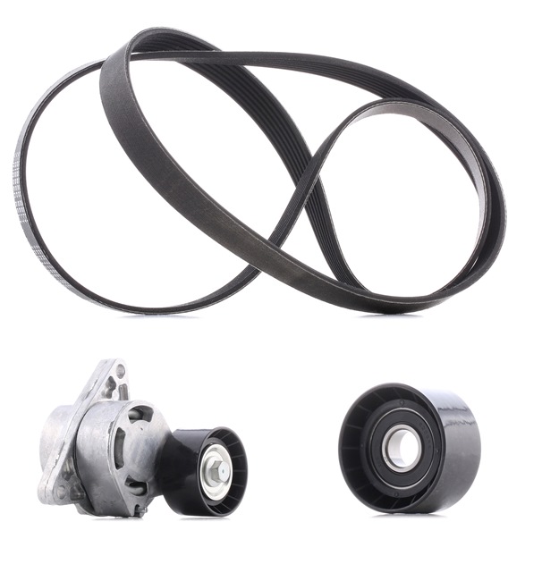 RIDEX PLUS 542R0282P Kit de courroie d'accessoire OPEL Vivaro A Camion plate-forme/Châssis (X83) 2.5 CDTI Diesel 146 CV 2008 prix
