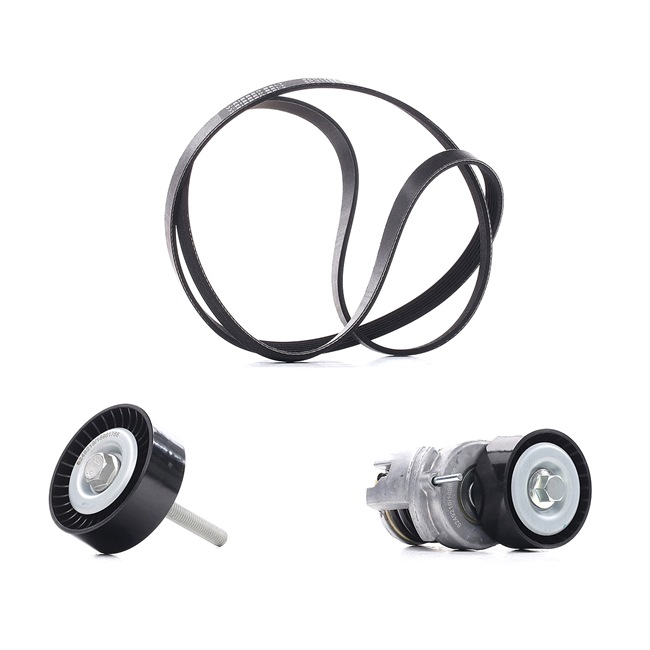 RIDEX PLUS 6QD145276 Moniurahihnasarja 542R0281P