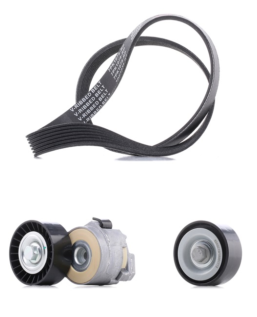 RIDEX PLUS 542R0221P Serpentine belt kit FIAT Ducato III Van (250, 290) 2.3 D 130 Multijet Diesel 126 hp 2011 price