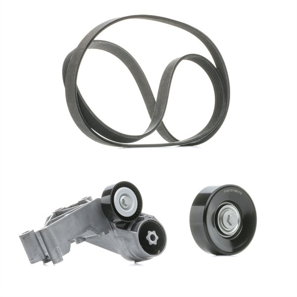 Komplet rebrastega jermena RIDEX PLUS 542R0012P primeren za FORD poceni