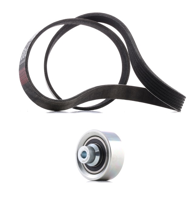 RIDEX PLUS 542R0003P Kit de correa poly V Citroen C4 1 1.6 HDi Gasóleo 90 cv 2005 precio