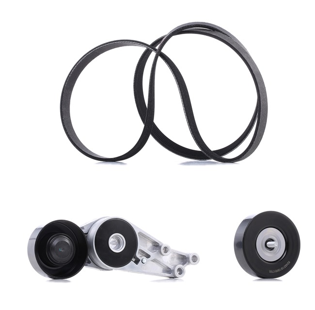 RIDEX PLUS 542R0594P Kit de correa poly V AUDI A4 B6 Cabrio (8E, 8H) 1.8 T Gasolina 163 cv 2002 precio