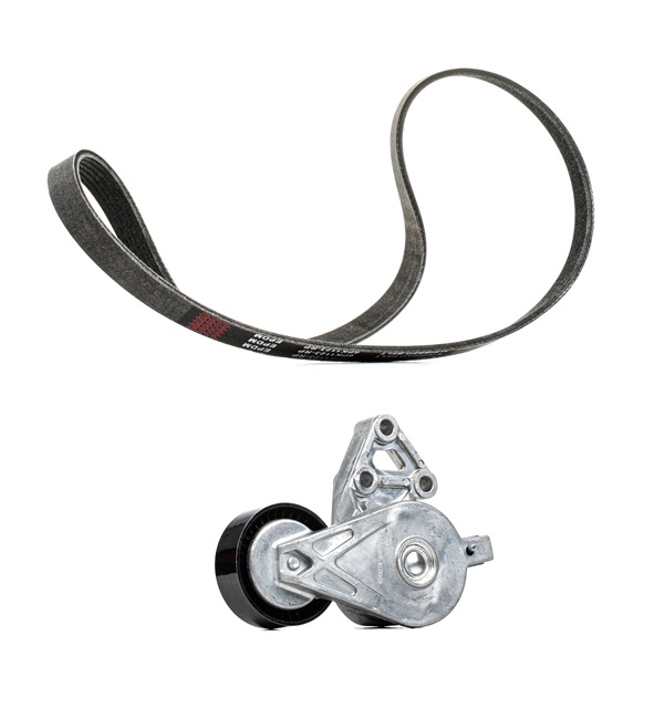 RIDEX PLUS 542R0193P Kit cinghie poly-v VOLKSWAGEN Transporter T5 Bus (7HB, 7HJ, 7EB, 7EJ, 7EF, 7EG, 7HF, 7EC) 1.9 TDI Diesel 102 CV 2008 prezzo