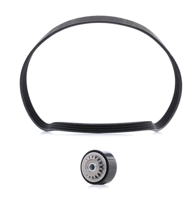 RIDEX PLUS 542R0497P Keilrippenriemensatz Renault Twingo Mk1 1.2 16V 75 PS Benzin 2006